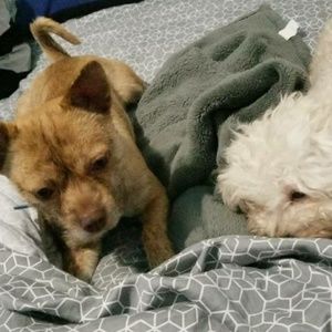 Meet your Posher, Randy